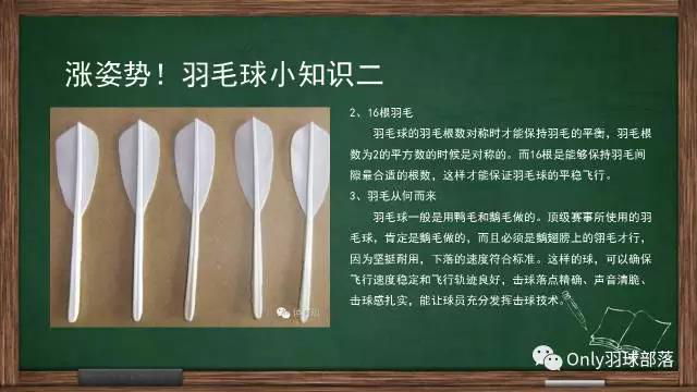 微信图片_20170927160919.jpg